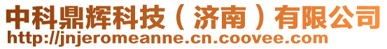 中科鼎輝科技(濟南)有限公司