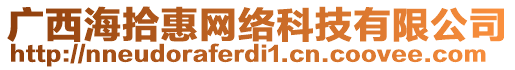 廣西海拾惠網(wǎng)絡(luò)科技有限公司