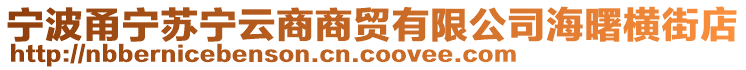 寧波甬寧蘇寧云商商貿(mào)有限公司海曙橫街店