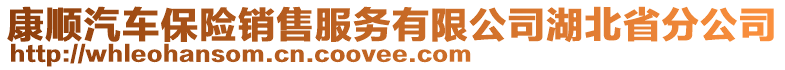 康順汽車保險銷售服務有限公司湖北省分公司
