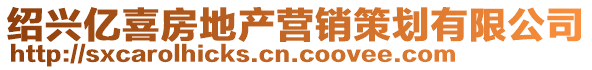 紹興億喜房地產(chǎn)營(yíng)銷策劃有限公司
