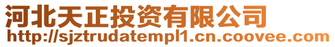 河北天正投資有限公司