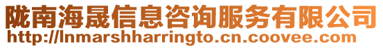 隴南海晟信息咨詢服務有限公司