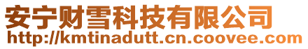安寧財雪科技有限公司