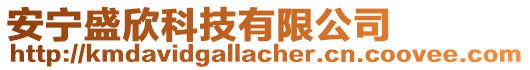 安寧盛欣科技有限公司