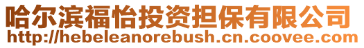 哈爾濱福怡投資擔(dān)保有限公司
