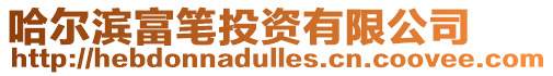 哈爾濱富筆投資有限公司