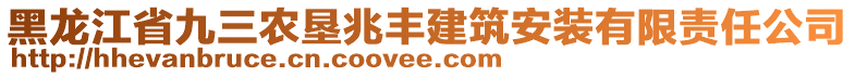 黑龍江省九三農墾兆豐建筑安裝有限責任公司