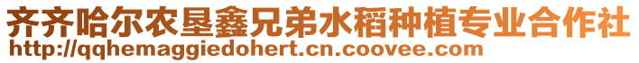齊齊哈爾農墾鑫兄弟水稻種植專業(yè)合作社