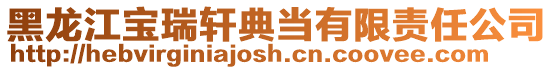 黑龍江寶瑞軒典當有限責任公司