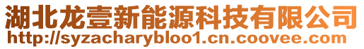 湖北龍壹新能源科技有限公司