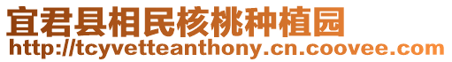 宜君縣相民核桃種植園