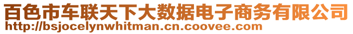 百色市車聯(lián)天下大數(shù)據(jù)電子商務有限公司