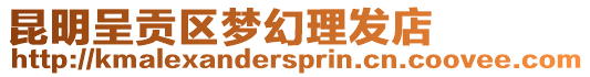 昆明呈貢區(qū)夢(mèng)幻理發(fā)店