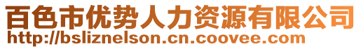 百色市優(yōu)勢人力資源有限公司