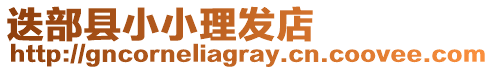迭部縣小小理發店