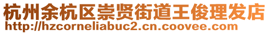 杭州余杭區(qū)崇賢街道王俊理發(fā)店