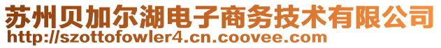 蘇州貝加爾湖電子商務(wù)技術(shù)有限公司