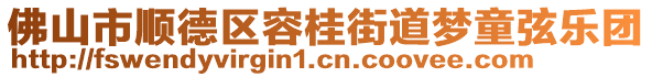 佛山市順德區(qū)容桂街道夢童弦樂團(tuán)