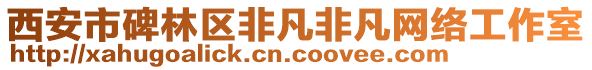 西安市碑林區(qū)非凡非凡網(wǎng)絡(luò)工作室