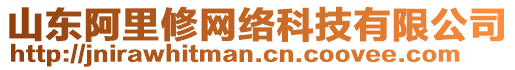 山東阿里修網(wǎng)絡科技有限公司