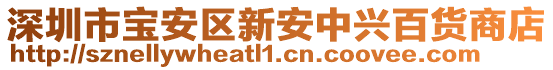 深圳市寶安區(qū)新安中興百貨商店