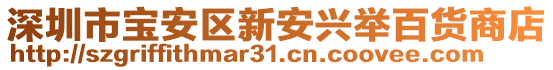 深圳市寶安區(qū)新安興舉百貨商店