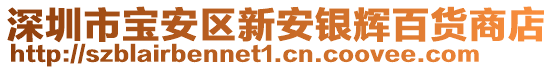 深圳市寶安區(qū)新安銀輝百貨商店