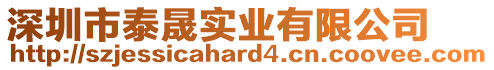 深圳市泰晟實業(yè)有限公司