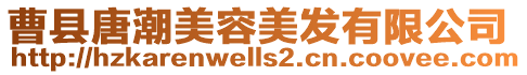 曹縣唐潮美容美發有限公司
