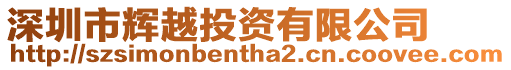 深圳市輝越投資有限公司