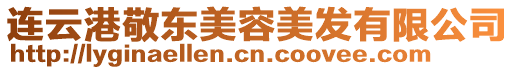 連云港敬東美容美發(fā)有限公司