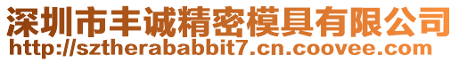 深圳市豐誠精密模具有限公司