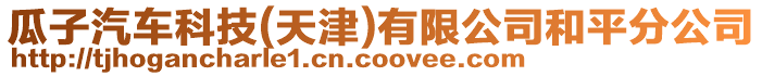 瓜子汽車科技(天津)有限公司和平分公司