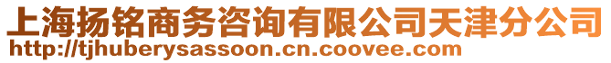 上海揚銘商務(wù)咨詢有限公司天津分公司