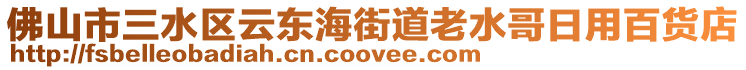 佛山市三水區(qū)云東海街道老水哥日用百貨店