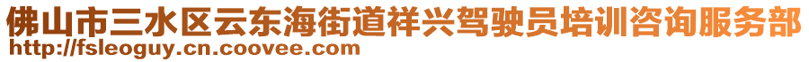 佛山市三水區(qū)云東海街道祥興駕駛員培訓咨詢服務部