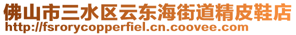 佛山市三水區(qū)云東海街道精皮鞋店