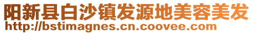 陽新縣白沙鎮(zhèn)發(fā)源地美容美發(fā)