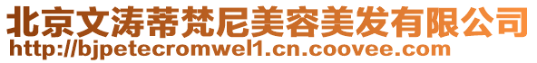 北京文濤蒂梵尼美容美發有限公司