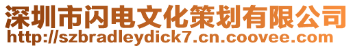 深圳市閃電文化策劃有限公司