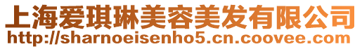 上海愛琪琳美容美發(fā)有限公司