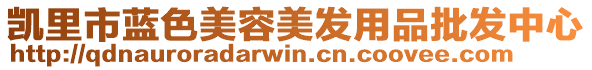 凱里市藍(lán)色美容美發(fā)用品批發(fā)中心