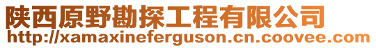 陜西原野勘探工程有限公司