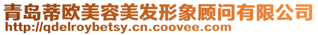 青島蒂歐美容美發(fā)形象顧問有限公司