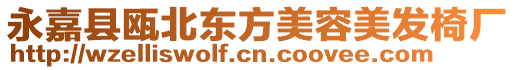 永嘉縣甌北東方美容美發椅廠