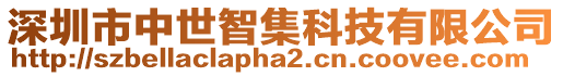 深圳市中世智集科技有限公司