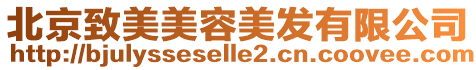 北京致美美容美發(fā)有限公司