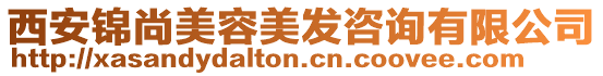 西安錦尚美容美發(fā)咨詢有限公司