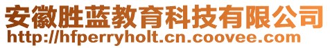 安徽勝藍(lán)教育科技有限公司